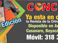 banner concepto