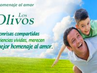 banner-olivos