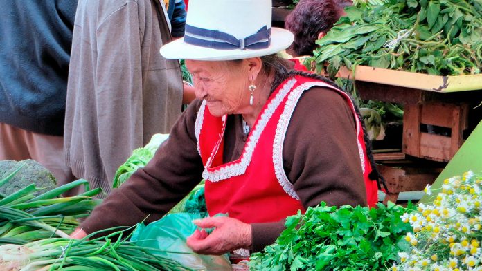 Alcaldía de Arauca exalta el trabajo de la mujer rural - Noticias de Colombia